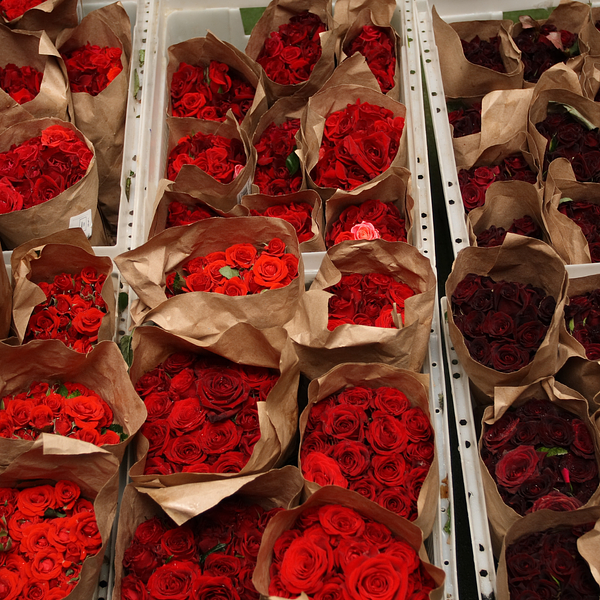 Responsable de site adjoint(e) - grossiste